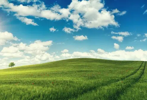 Architecte à Chambéon